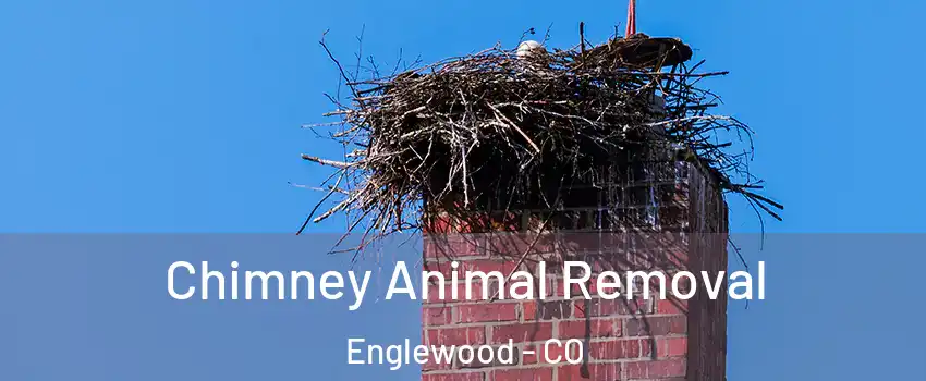Chimney Animal Removal Englewood - CO