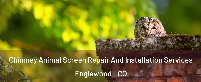 Chimney Animal Screen Repair And Installation Services Englewood - CO
