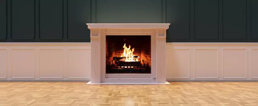 Napoleon Electric Fireplaces Inspection Service in Englewood, Colorado