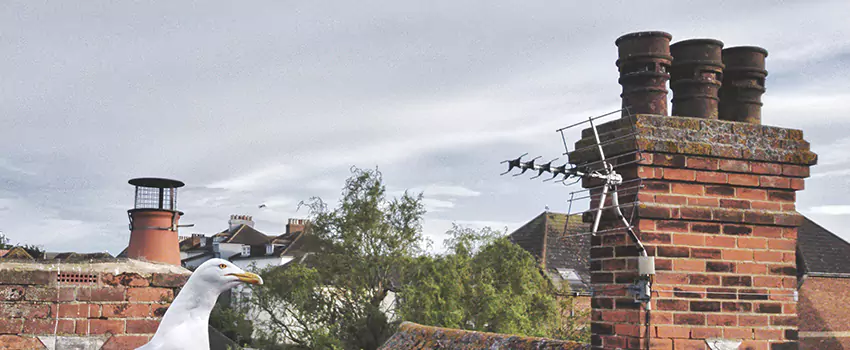 Chimney Cleaning And Restoration in Englewood, Colorado