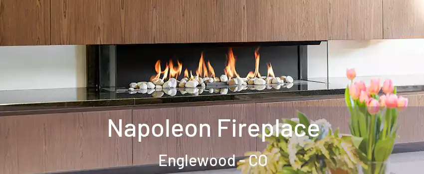  Napoleon Fireplace Englewood - CO